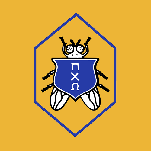 Installation of New Pi Chi Omega Board of Directors