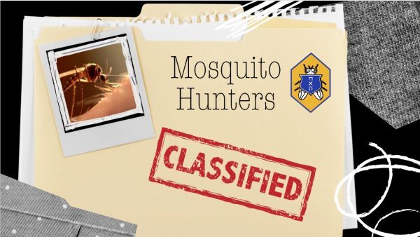 Mosquito Hunters 600x338