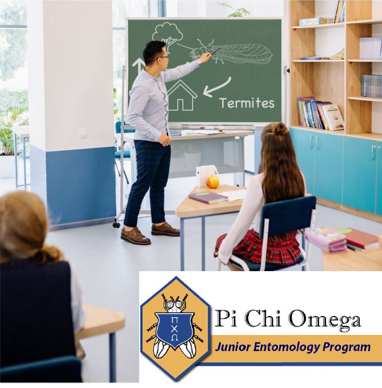 Junior Entomologist Program: Present Yourself or Share with Educators in Your Community